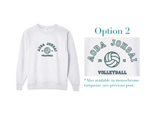 Load image into Gallery viewer, Team Spirit (H!!)