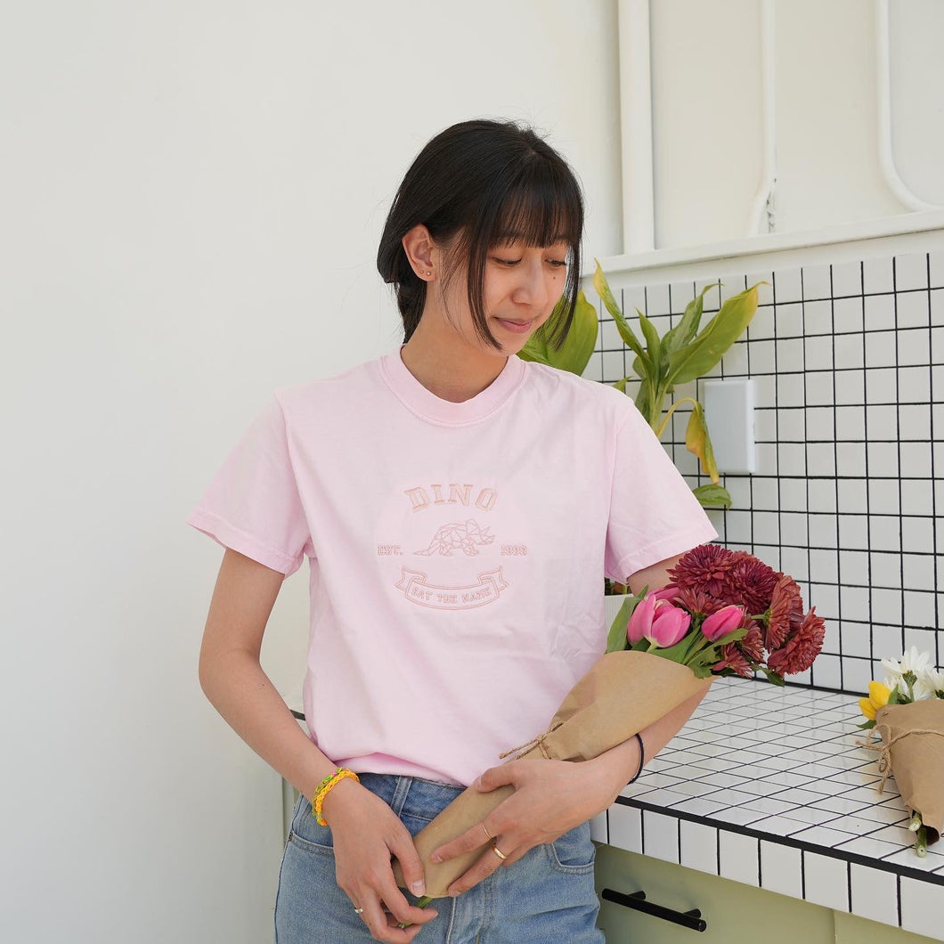 SVT - University of Dino