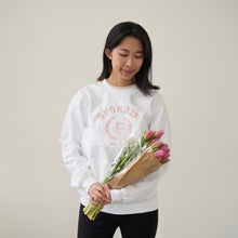 Load image into Gallery viewer, BTS Jin - University of Seokjin
