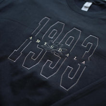 Load image into Gallery viewer, BTS Suga - Amygdala
