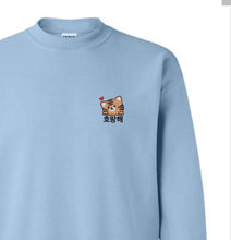 Load image into Gallery viewer, SVT Hoshi - Horanghae
