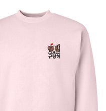 Load image into Gallery viewer, SVT Mingyu- Gyuranghae
